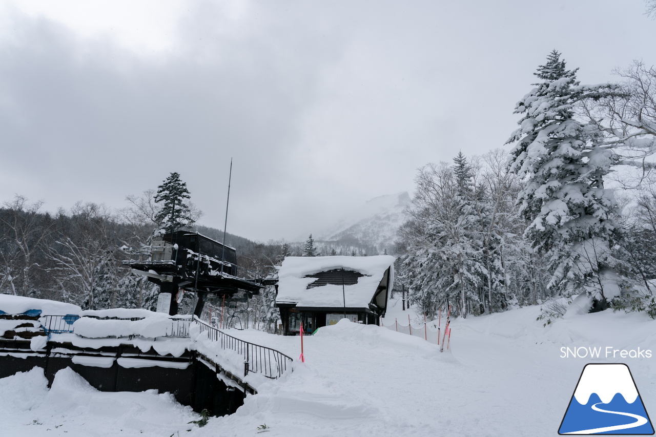 大雪山層雲峡・黒岳ロープウェイスキー場｜北海道ならではの静かな大自然とふわふわのパウダースノーを堪能するなら、のんびり真冬の『黒岳』がおススメです。